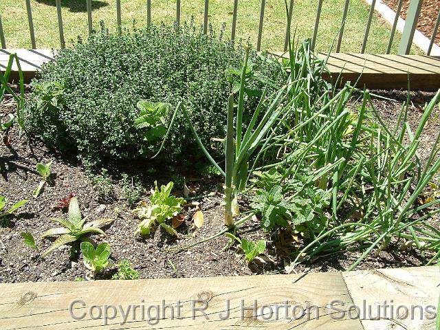 Mixed Herbs